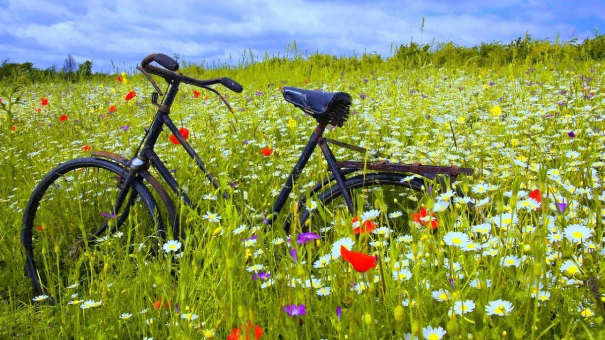 Overige fietsen