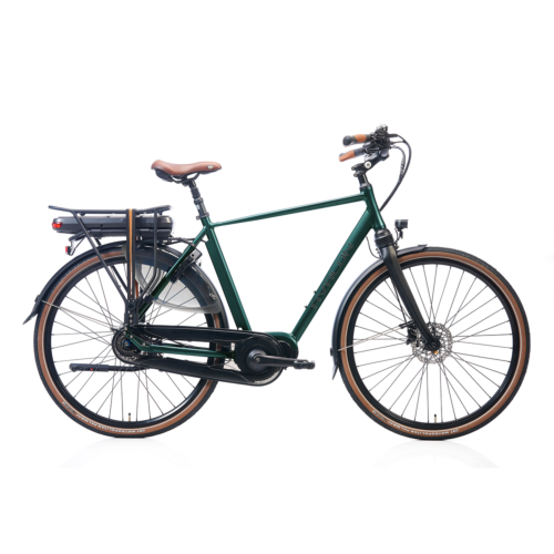 DeLuxe E-Bike H54 cm groen